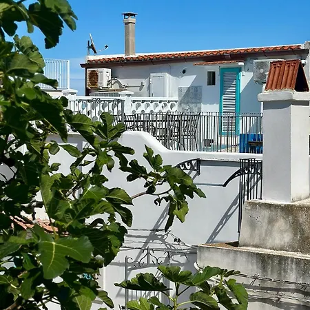 Holiday home Rooftop - Sea View Near Pizzomunno - Free Private Parking Vieste