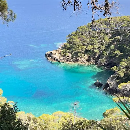 Rooftop - Sea View Near Pizzomunno - Free Private Parking Holiday home *