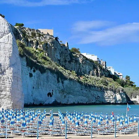 Rooftop - Sea View Near Pizzomunno - Free Private Parking Holiday home *